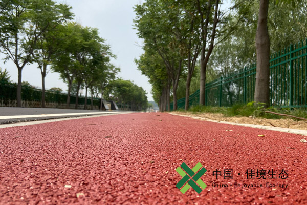 徐州大沙河彩色透水混凝土路面+瀝青路面